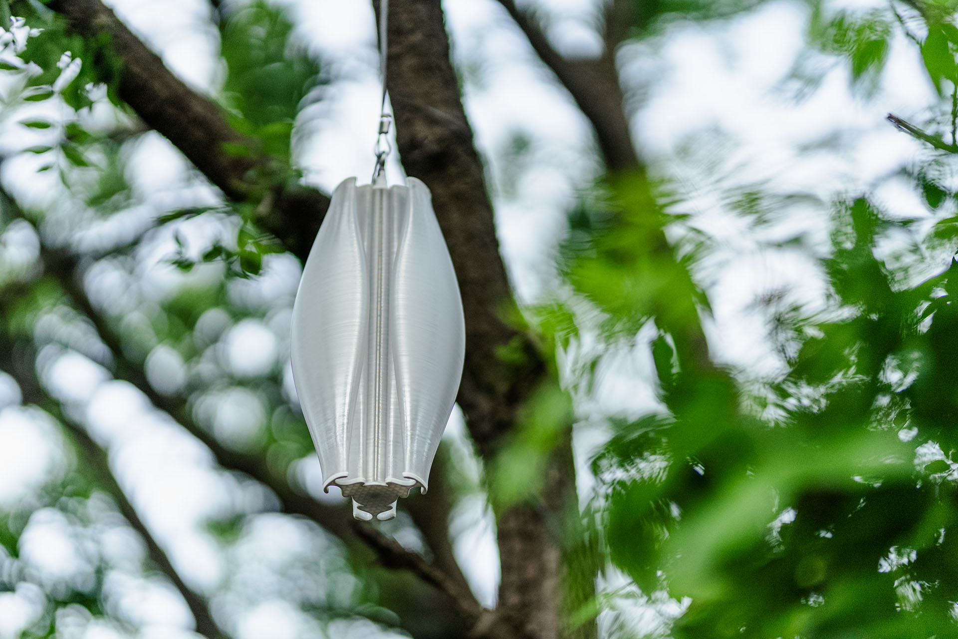 Satellite product hanging from tree.